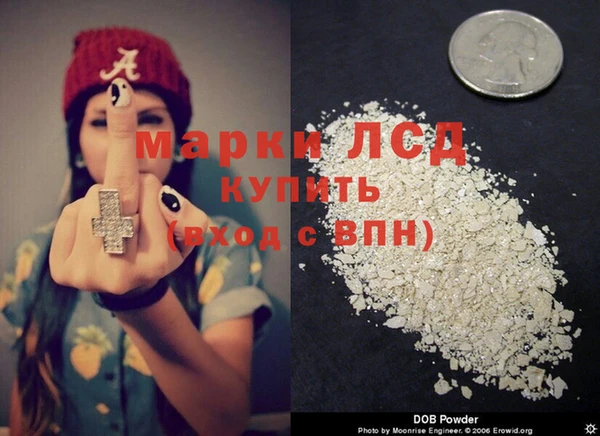 мдпв Вяземский
