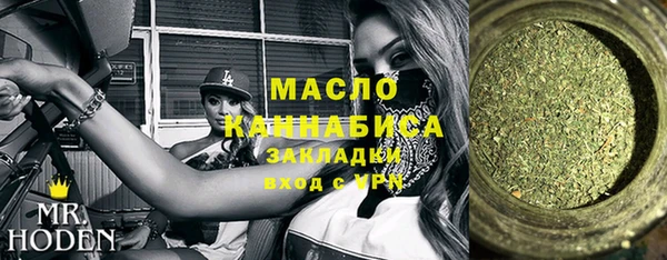 мдпв Вяземский