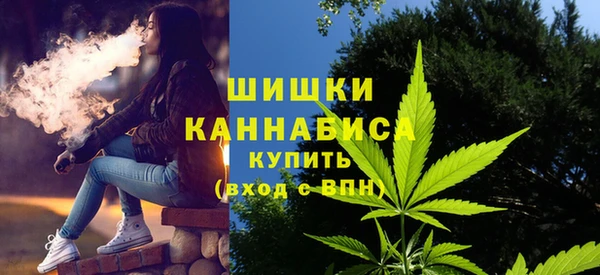 мдпв Вяземский