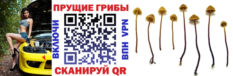 ОМГ ОМГ маркетплейс  Уссурийск  Галлюциногенные грибы GOLDEN TEACHER  хочу наркоту 
