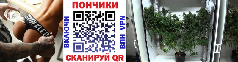 Каннабис тримм  закладки  Уссурийск 